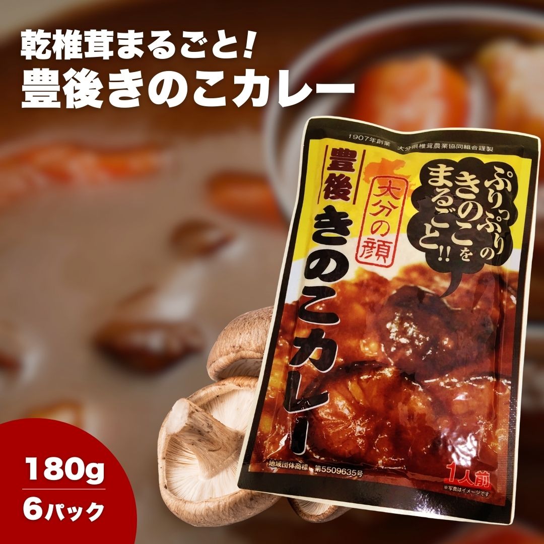 【ふるさと納税】豊後きのこカレー×6 | 椎茸 レトルト 若芽どんこ 大分県 津久見市 国産 送料無料