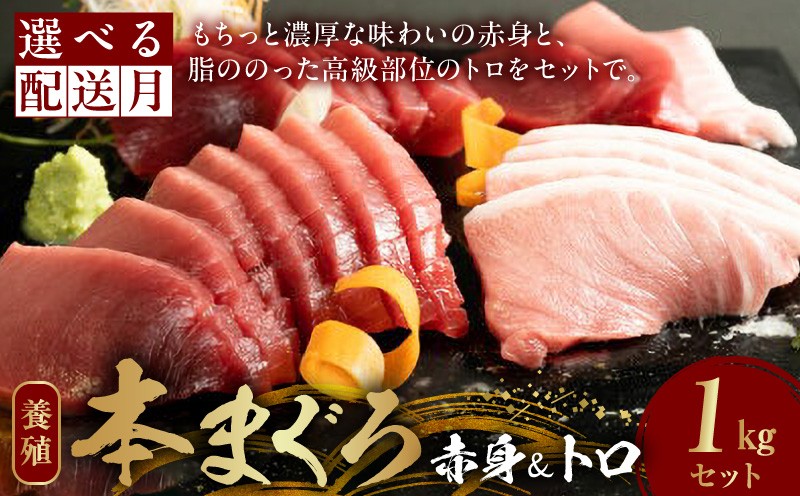 
                  本マグロ（養殖）赤身＆トロセット 1kg _AZ6026-sku
                