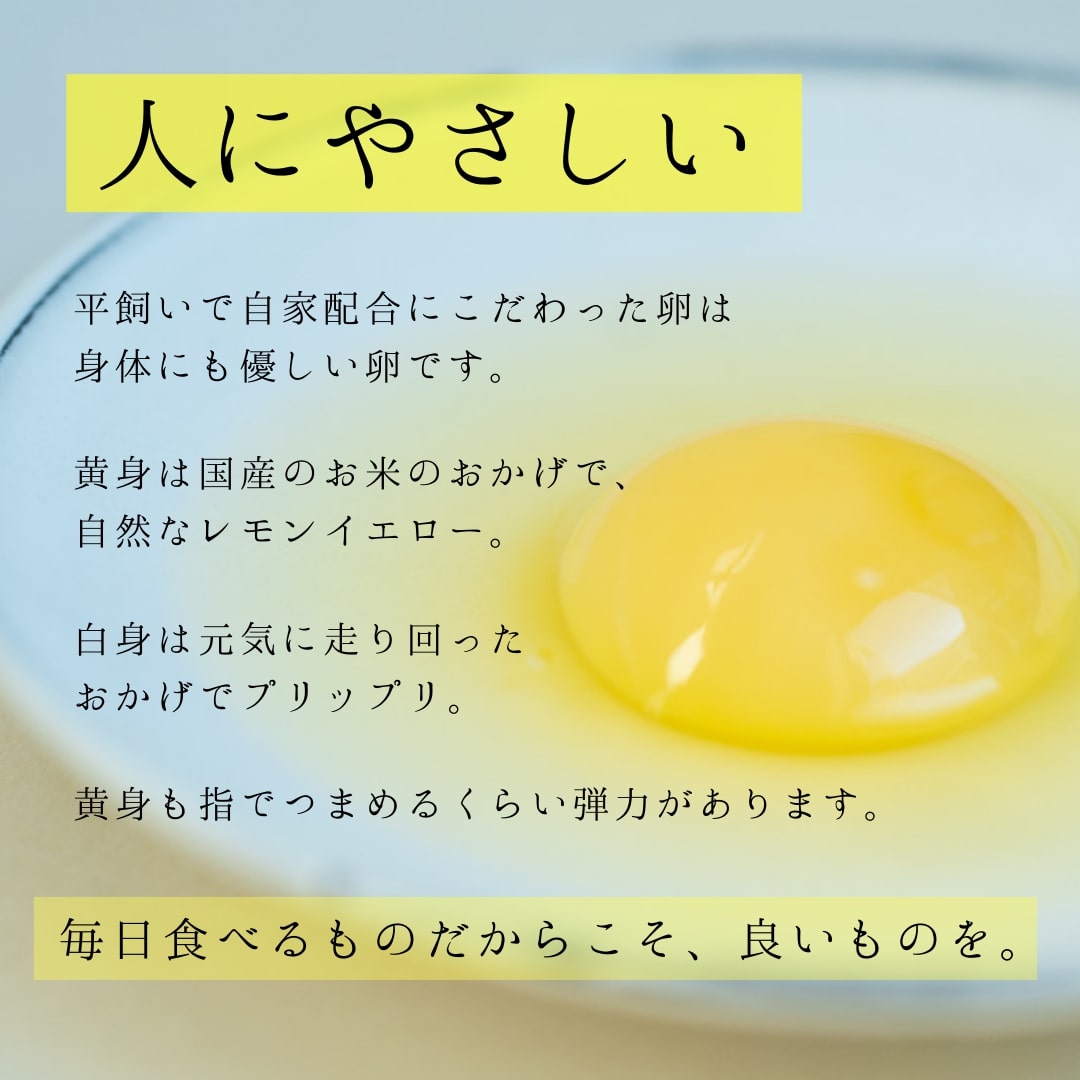 【3回定期便】平飼いで のびのび！ばあちゃんの昔たまご 40個/月 割れ保証あり B618_イメージ3