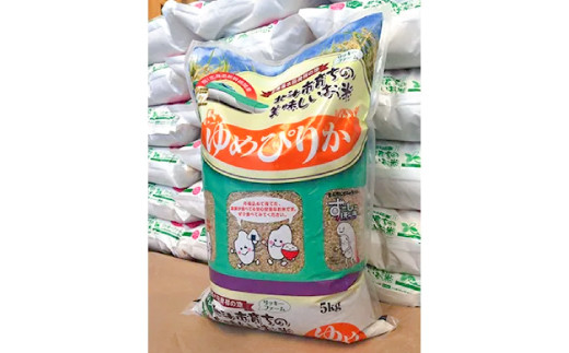
【特A受賞】【玄米】北海道産 特Aランク ゆめぴりか5kg HOKK012
