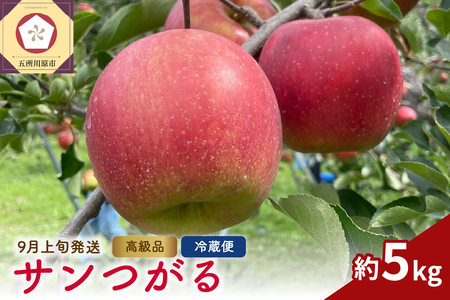 【2025年9月上旬発送】りんご　サンつがる 約5kg 高級品 春秋園 青森【贈答用 リンゴ 林檎 サンツガル 早生りんご】