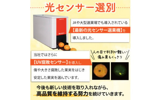 【2024年12月発送予約分】＼光センサー選別／農家直送 こだわりの有田みかん 約2.5kg＋75g(傷み補償分)【ご家庭用】【12月発送】みかん ミカン 有田みかん 温州みかん 柑橘 有田 和歌山 