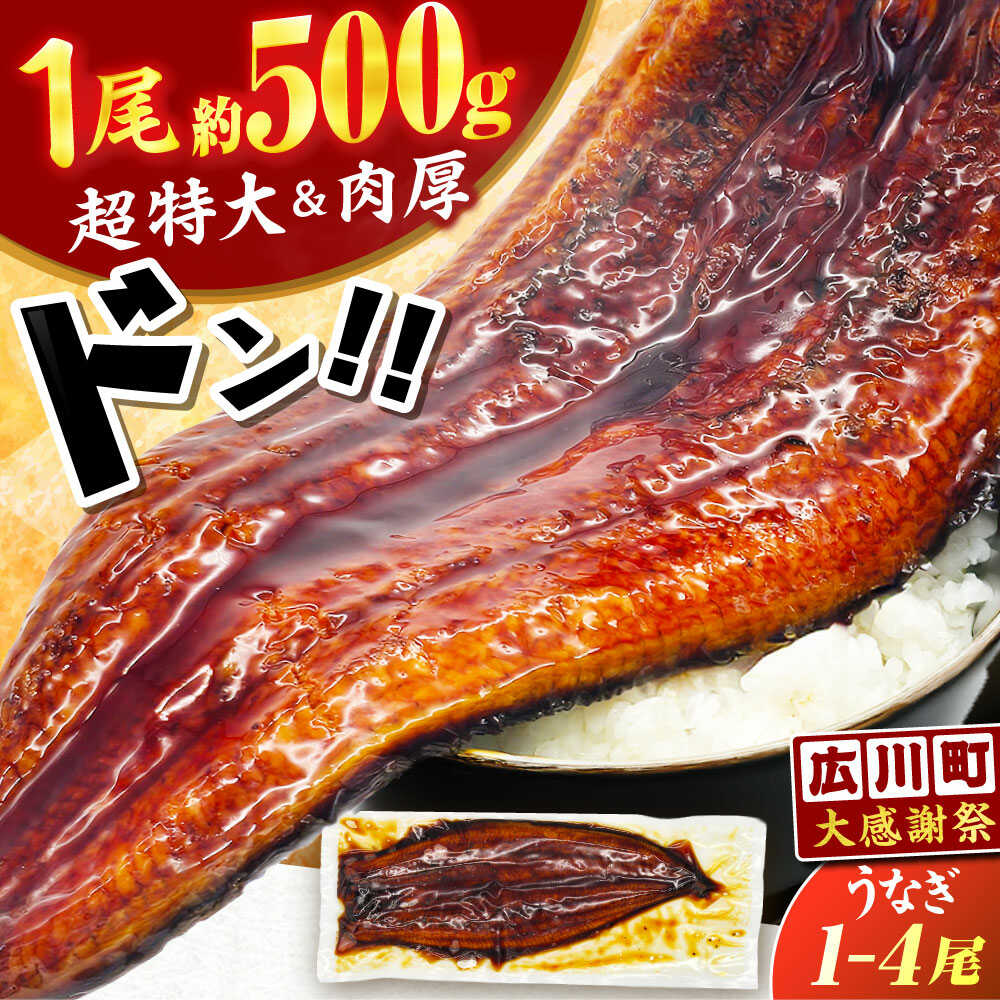 【ふるさと納税】【新登場＆大感謝祭】【1尾約500g】うなぎ蒲焼 超特大×1尾〜4尾 鰻 うな重 ひつまぶし　広川町 / 株式会社イールファクトリー[AFBS031]