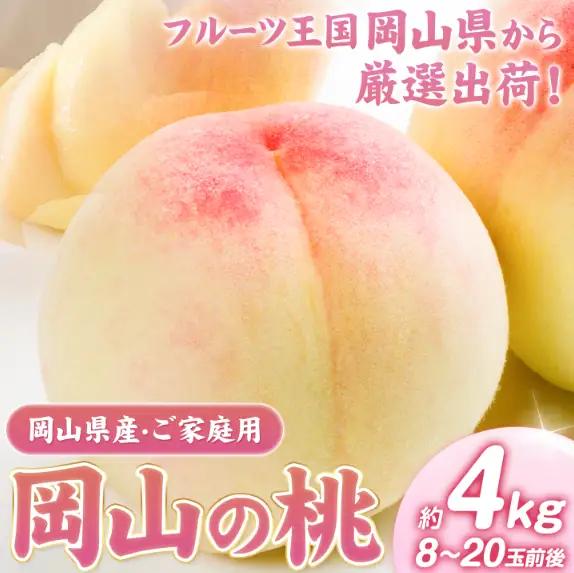 【2027年発送】 白桃 岡山の桃 約4kg