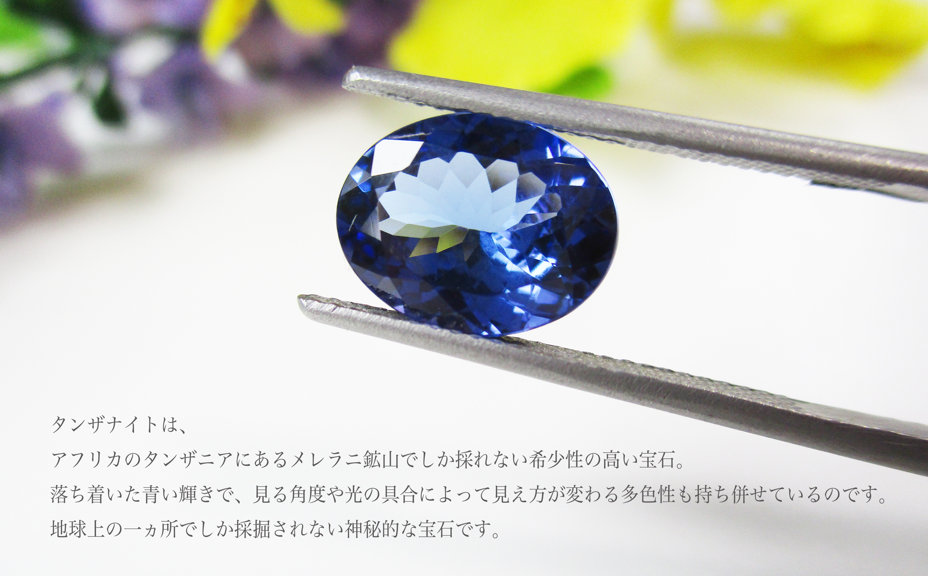 プラチナ タンザナイト ピアス 宝石鑑別書付き　【ジュエリー】