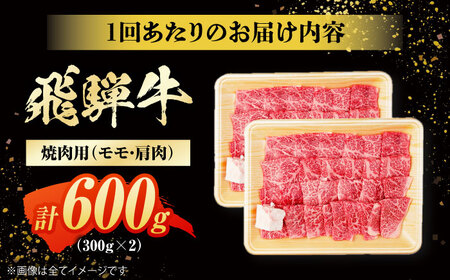 【12回定期便】 飛騨牛 焼肉用 赤身 600g（300g×2）/ 焼肉 牛肉 和牛 定期便 肉 / 白川町 / 浅井商店[AWBJ014]