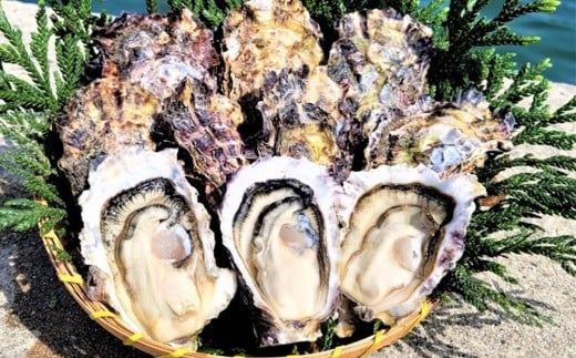 能登穴水の牡蠣（殻付き）　加熱用　5kg