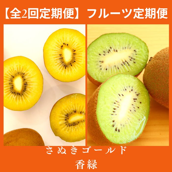 【ふるさと納税】【全2回フルーツ定期便】さぬき讃フルーツ　さぬきゴールドと香緑(キウイフルーツ)〔提供：有限会社マミィギフトカガワ〕