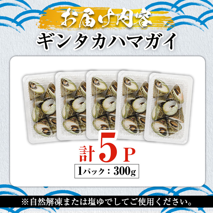 ＜先行予約受付中！2024年6月より順次発送予定＞数量限定！ギンタカハマガイ(三角みな)ボイル(300g×5パック)国産 鹿児島県産 貝 魚介類 おかず 料理 おつまみ【福美丸水産】 a-14-41