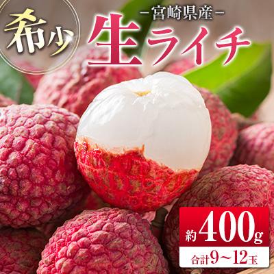 ふるさと納税 宮崎県 【2027年発送】希少!宮崎県産 生ライチ(合計約400g)