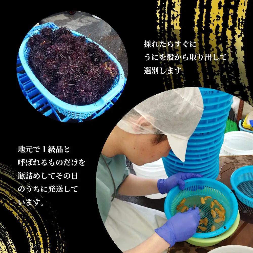 fn-72-037 三陸釜石・漁師直送 生うに 150g×2本 【5月中旬から7月頃期間限定 お届け便】 両石港 隆丸