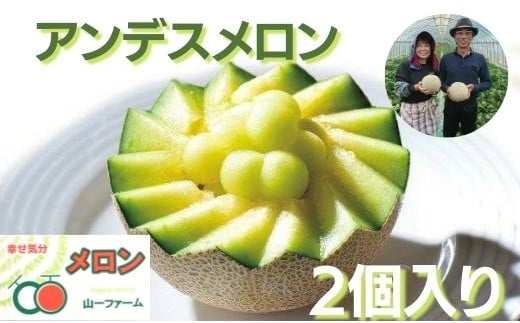 メロン めろん  アンデスメロン 2個（大玉3kg以上） 山一ファーム おすすめ 人気 国産 山一ファーム 茨城 鉾田 フルーツ 旬 プレゼント 贈り物 甘い ヘルシースイーツ 産地直送 農業王国 青肉 緑肉 送料無料