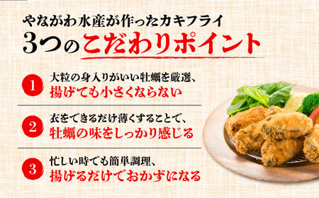 広島G7で提供された牡蠣！【全12回定期便】広島県産 牡蠣屋さんが作ったこだわりの大粒 カキフライ 20個（冷凍） かき 料理 海産物 瀬戸内 江田島市/マルサ・やながわ水産有限会社[XBL017]