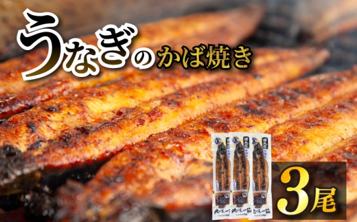 【江口商店うなぎのかば焼き】 3尾 こだわり親父の備長炭手焼き 江口商店 ｜ うなぎ 鰻 国産 長蒲焼 国産 うなぎ 鰻 ウナギ 蒲焼き 蒲焼 かばやき 魚 魚介 魚貝 海鮮 うな重 ひつまぶし 蒲焼 ギフト 人気 おすすめ福岡県 柳川市