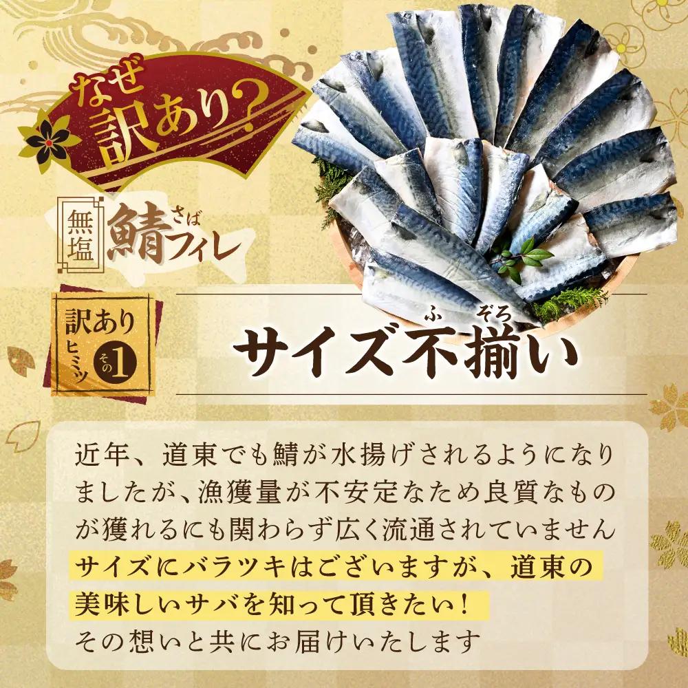 【訳あり】無塩 サバ フィレ 2kg
