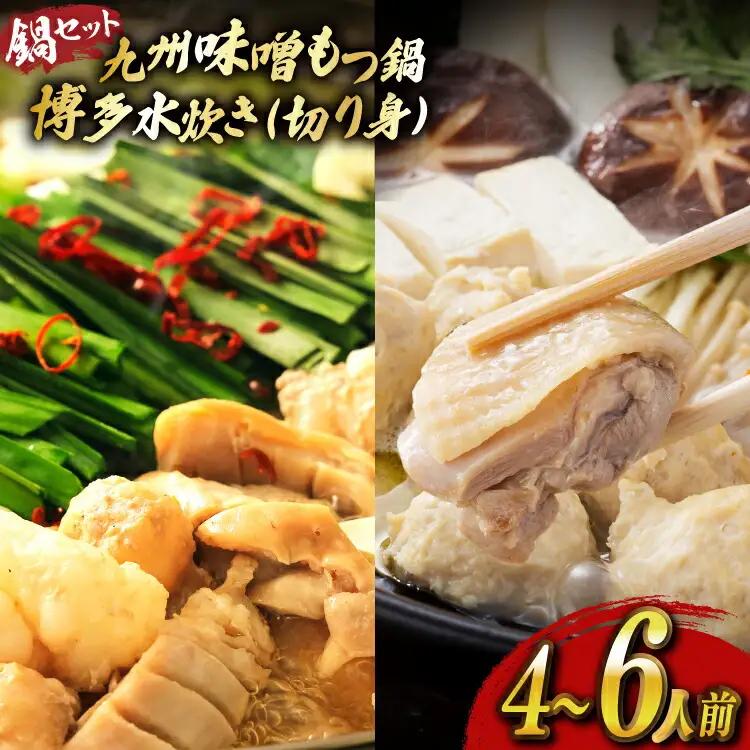 もつ鍋 味噌 水炊き 計4～6人前 [ベネフィス 福岡県 宇美町 um40azp190029]