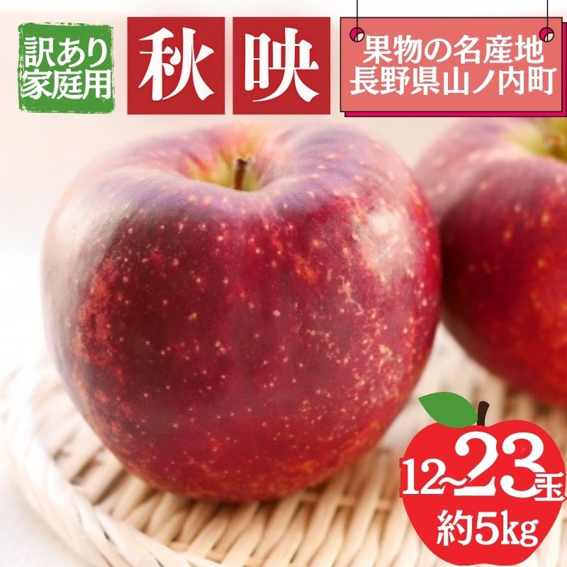 【ふるさと納税】秋映 訳あり家庭用 約5kg 12～23玉 りんご 果物 訳あり 信州 長野　お届け：2025年10月上旬～中旬