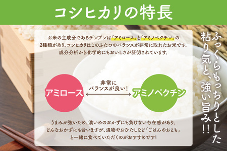 CQ-85　★新米先行予約★【数量限定】人気の個包装でお届け！【2024年10月より順次発送】【無洗米】令和6年産　茨城県産　極上　コシヒカリ5kg　らぽっぽなめがたファーマーズヴィレッジ　らぽっぽフ