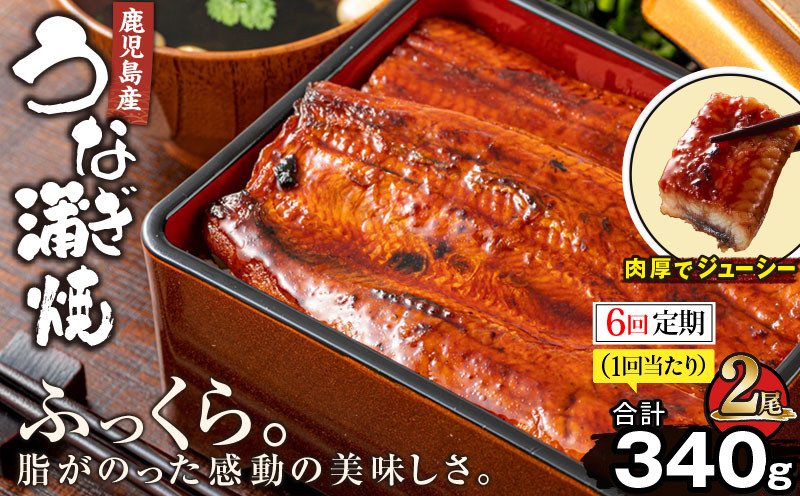 
2323-1 【6回定期】鹿児島産うなぎ170g×2尾 合計340g
