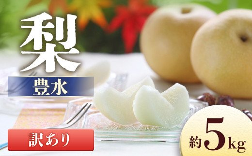 I-14 梨 豊水※訳あり品 ※ 約5kg【8～16玉】※2025年発送　先行予約分※