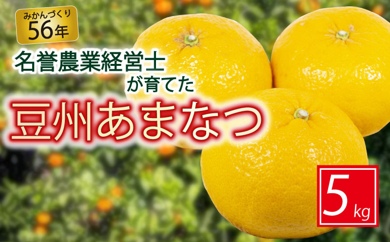 
            豆州 あまなつ 約 5 kg 【 はら みかん 農園 】 柑橘 オレンジ 沼津 静岡 フルーツ 農園 直送 数量 限定
          