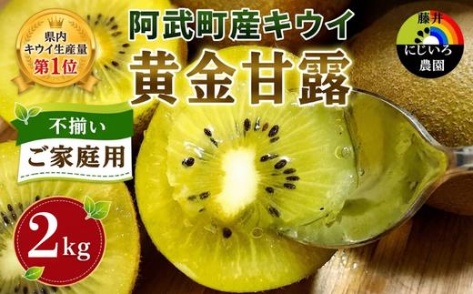 
                  【先行予約】【家庭用】キウイ 黄金甘露 2kg 山口県 阿武町産 数量限定 国産 果物 黄色キウイ《2026年9月中旬～10月下旬発送》
                