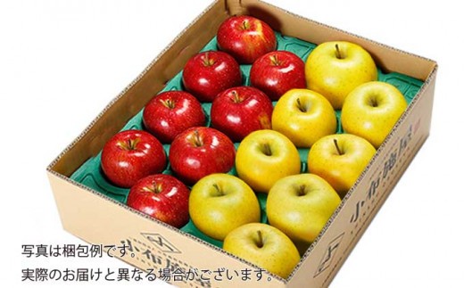 長野県生まれのりんご、シナノスイートとシナノゴールドの２種類をお届け。