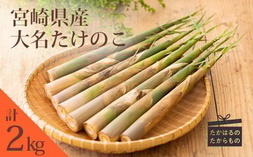 
            【数量限定・先行受付】《旬の味わい》宮崎県高原町産「大名たけのこ」約2kg 国産の筍をお届け! [ワンストップオンライン対応] TF0409-P00036
          