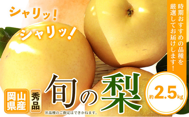 
                  岡山県産 旬の 梨 約2.5kg 2~6玉前後 梨 秀品 新高 愛宕 スイーツ フルーツ デザート 旬 岡山県矢掛町《9月上旬-1月末頃に出荷予定》
                