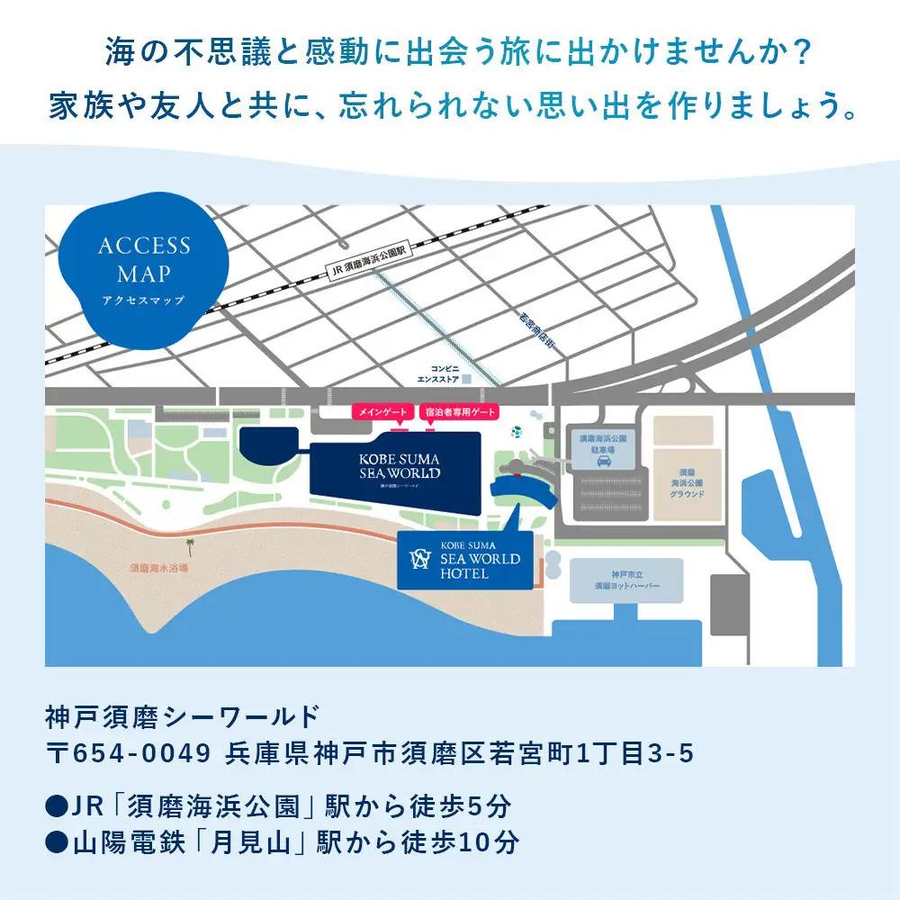 神戸須磨シーワールド入館券　3枚セット（有効期限：2026年4月1日～9月30日）