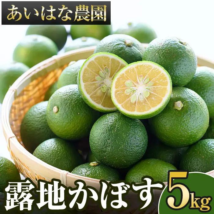 ＜2026年8月上旬以降お申込み順に発送＞露地カボス(約5kg)かぼす カボス 柑橘 特産品 大分県産【107100403】【あいはな農園】