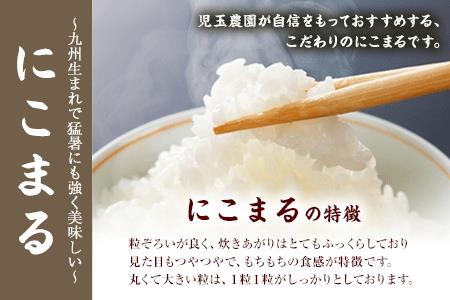 米 令和8年産 にこまる 5kg 児玉農園 先行予約 熊本 米 