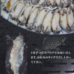 びわ湖産にごろ鮒（オス）鮒寿司 ５尾 CJ-0001