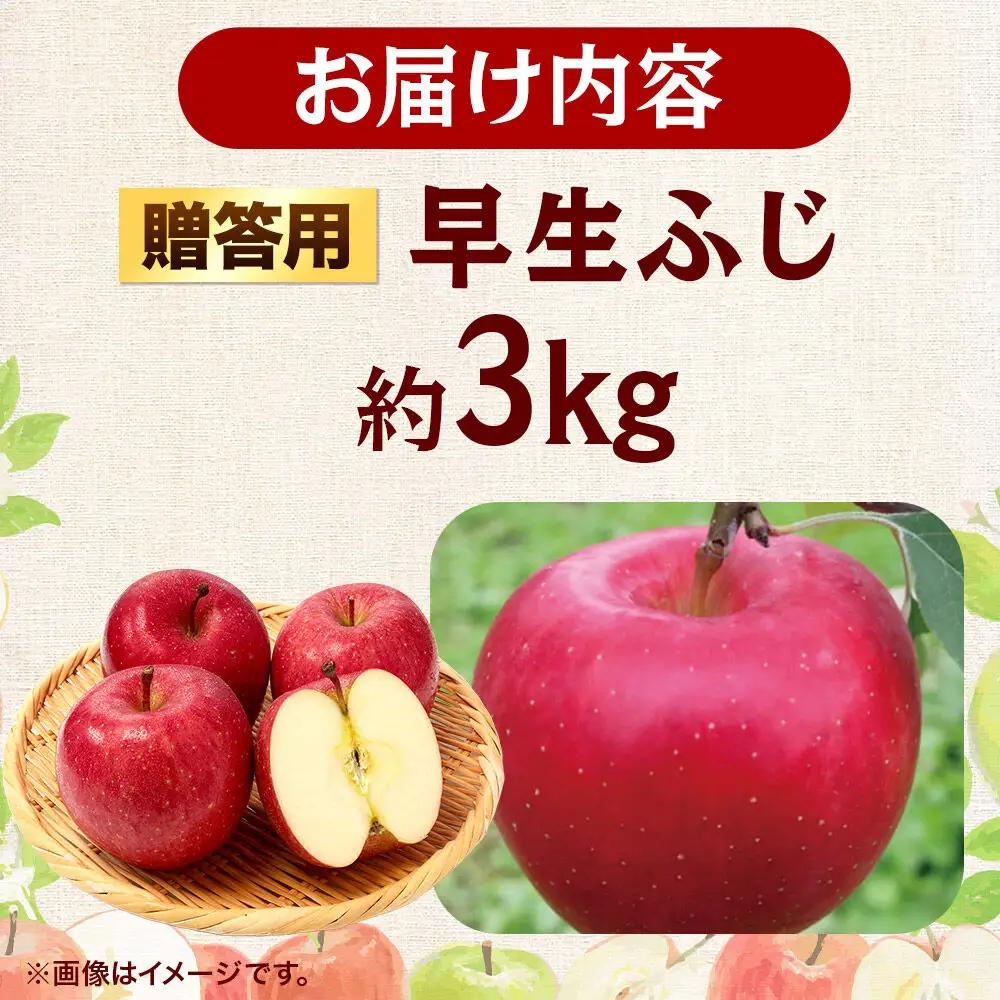 【26年9月発送】りんご 早生ふじ【贈答用】約3kg 青森県 弘前市