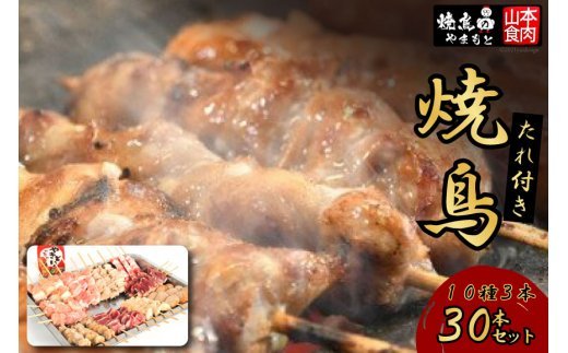 焼き鳥 焼鳥たれ付き10種3本(30本セット) [山本食肉 山梨県 韮崎市 20743347] やきとり 焼鳥 セット 鶏肉 冷凍 小分け 食べ比べ バーベキュー BBQ 惣菜 串 おかず おつまみ 国産 ねぎま もも つくね 砂肝