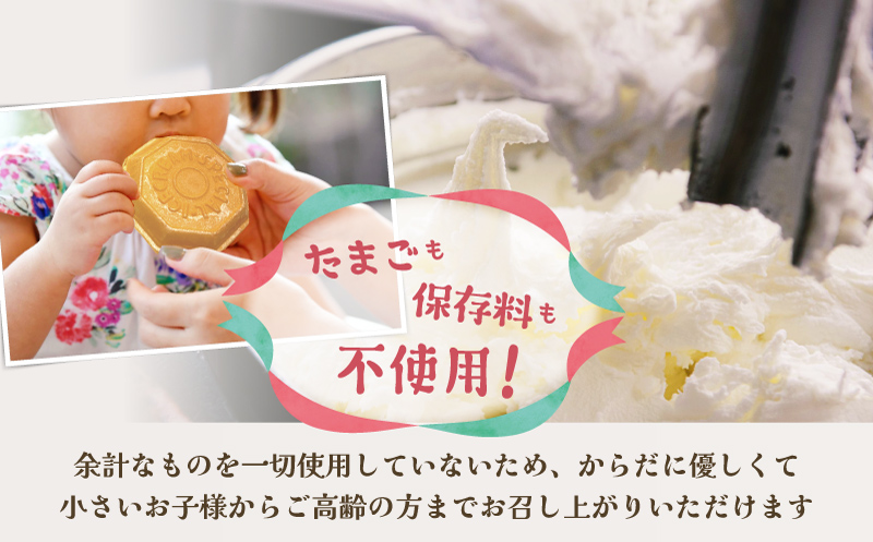 アイス もなか 4種 12個