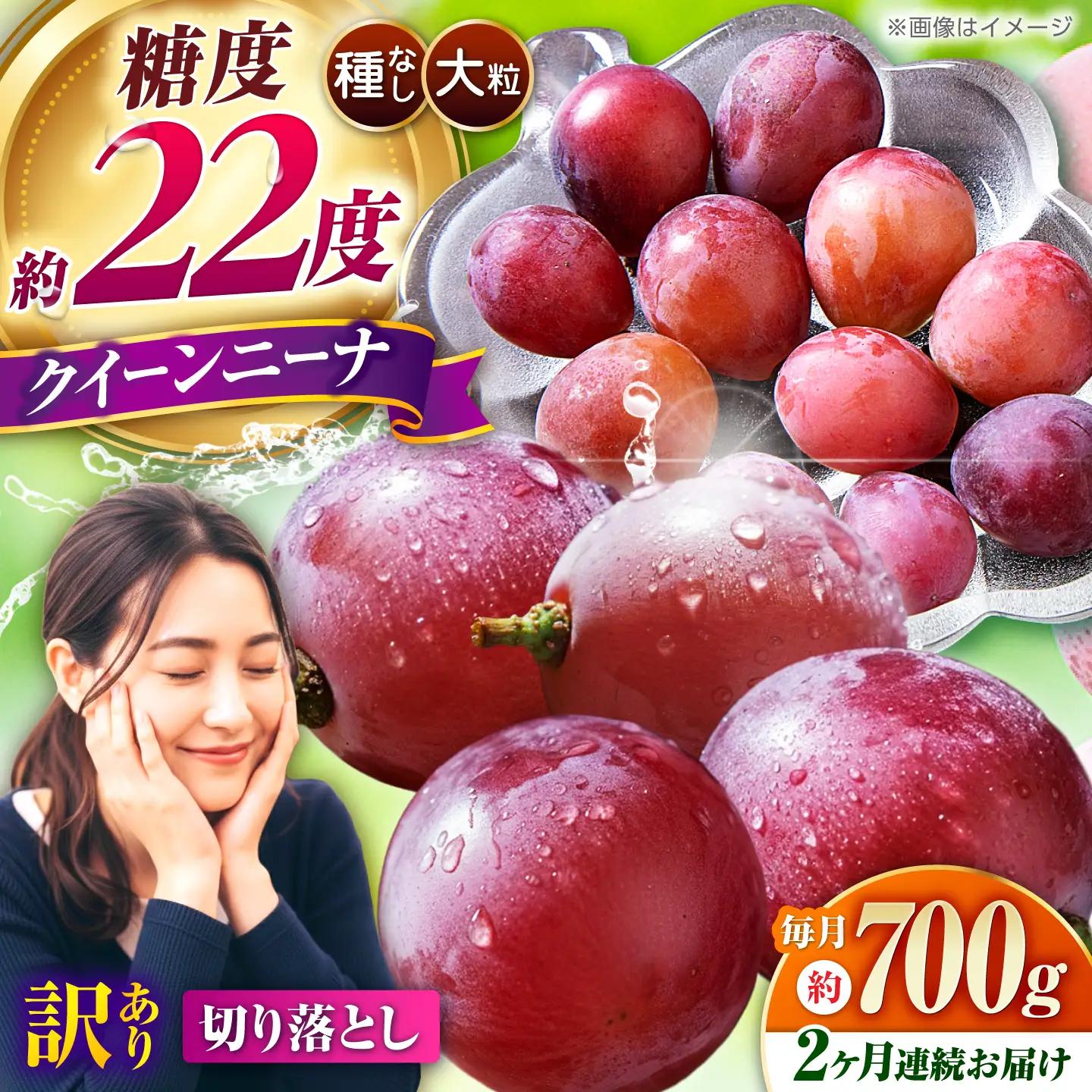【2027年発送先行予約】【2回定期便】　訳あり クイーンニーナ ぶどう 切り落とし 約700g  【合同会社 社方園】[ZBZ044]