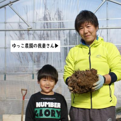 ふるさと納税 川西町 【2024年10月下旬発送開始】農家直送　土付き里芋(大和早生)3kg |  | 02