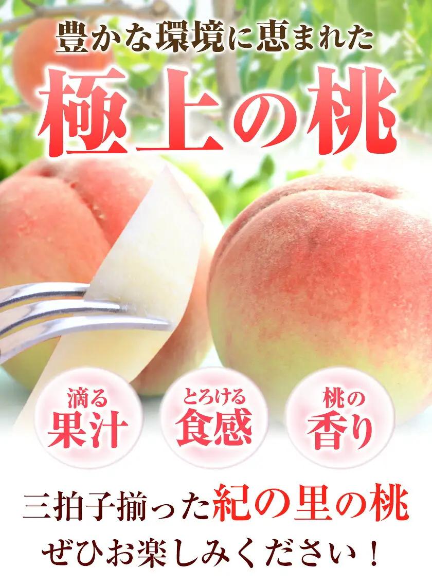 桃 紀の里の桃 約2kg