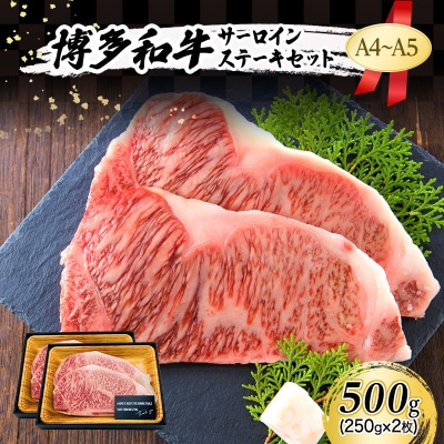 A4～A5 博多和牛 サーロイン ステーキ 500g (250g×2枚)[No5354-0539]