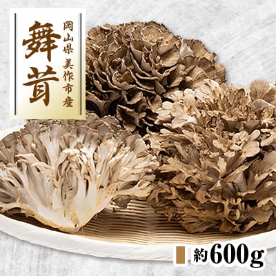 舞茸　約600g【配送不可地域：離島】