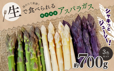 生で食べれる !! アスパラガス 3色 セット（ グリーン ・ホワイト ・ パープル  ）約 700g | 新鮮 アスパラ 野菜 アスパラガス ソムリエ 健康 熊本県産 熊本 玉名