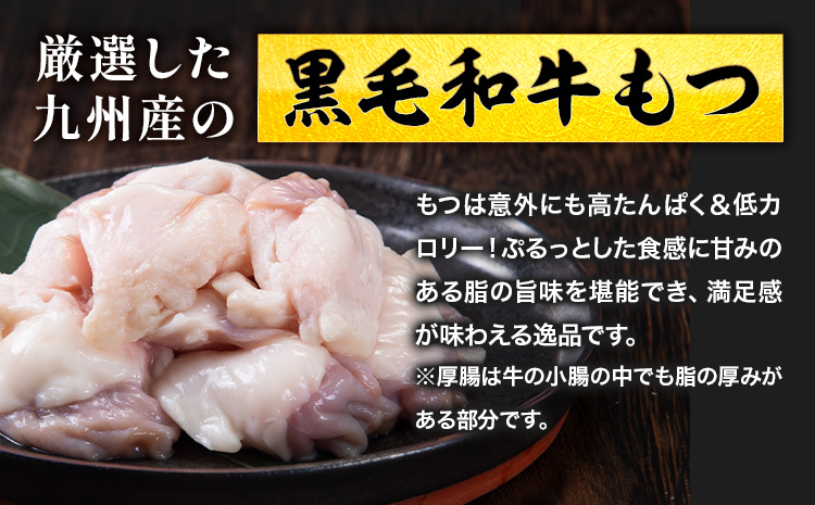 1本もつ鍋 (醤油味) 厚腸編 1kg 入り《30日以内に出荷予定(土日祝除く)》もつ もつ鍋 醤油味 鍋 セット 詰め合わせ 牛 牛もつ 送料無料---sc_fsmmtk_30d_24_19500_