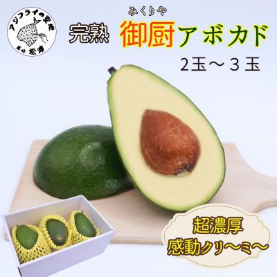 ふるさと納税 松浦市 完熟国産アボカド「御厨(みくりや)アボカド」2玉〜3玉