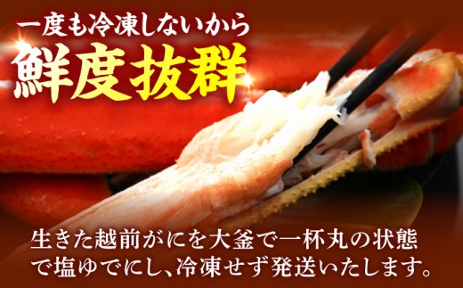 【先行予約/11月7日より順次発送予定】【冷蔵】「若狭小浜港産地直送」 越前がに (ズワイガニ) ボイル 大 2杯 小浜市/ 加福鮮魚 [BFBC021]【配送不可地域：北海道・沖縄・離島】