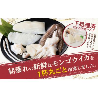 ふるさと納税 備前市 丸ごとモンゴウイカ |  | 01