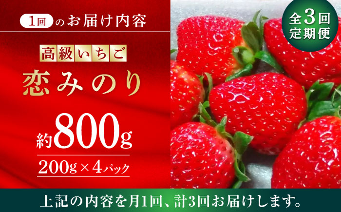 【先行予約】【3回定期便】高級 いちご 恋みのり 約800g（200g×4pc）【伊藤農園】 果物 フルーツ イチゴ いちご 苺 定期便 [ZBB009]