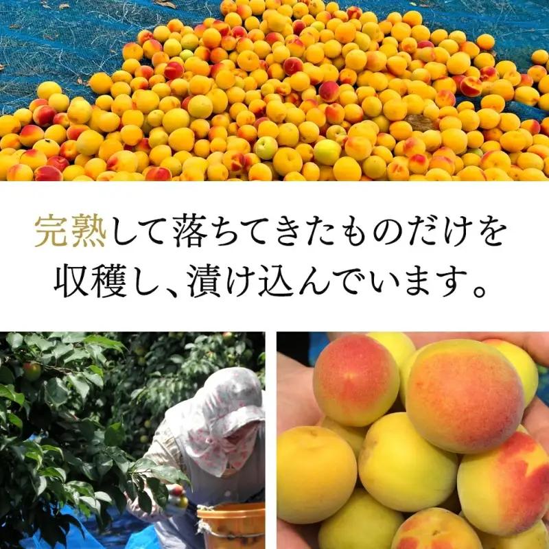 完熟梅酒「上芳養」（アルコール度数13％以上14％未満）720ｍｌ×６本  / 和歌山県 和歌山県産 不動農園 上芳養 田辺市 南高梅 紀州南高梅 完熟梅 梅酒 お酒 無添加梅酒 無添加 ロック 水割