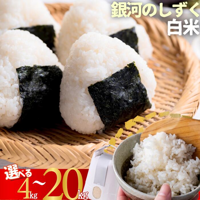 【ふるさと納税】【先行予約】ユキノチカラ米　銀河のしずく　白米　4kg 5kg 8kg 10kg　岩手県西和賀町