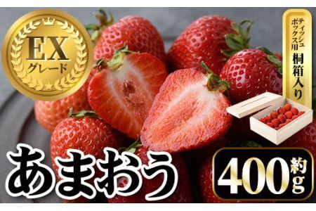 ＜先行予約受付中・数量限定＞2027年2月上旬から順次お届け！プレミアムあまおうEX ティッシュボックス用特別仕様の桐箱入り(約400g) 苺 いちご イチゴ フルーツ 果物 くだもの 手作り スイーツ ギフト 贈答 ＜離島配送不可＞【ksg1251】【THE FARM_strawberry】